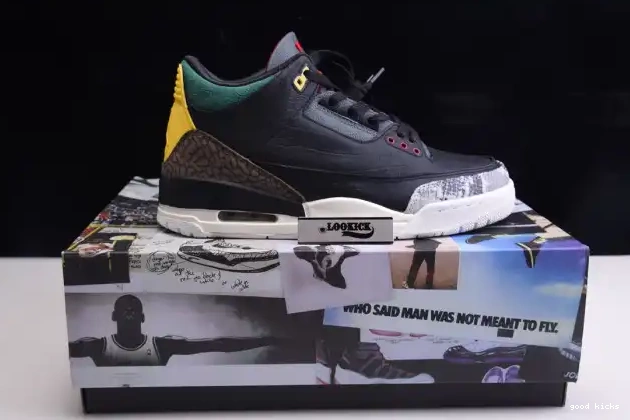 Rep Air Retro 3 Animal SE CV3583-003 Jordan 2.0 Instinct - 0512